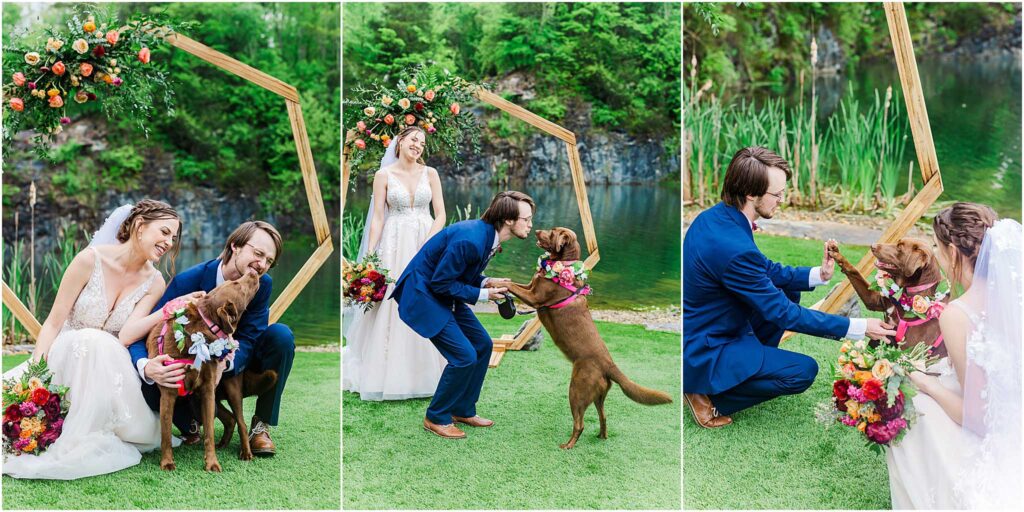 Bride and groom with dog celebrating wedding johnson city tennessee 