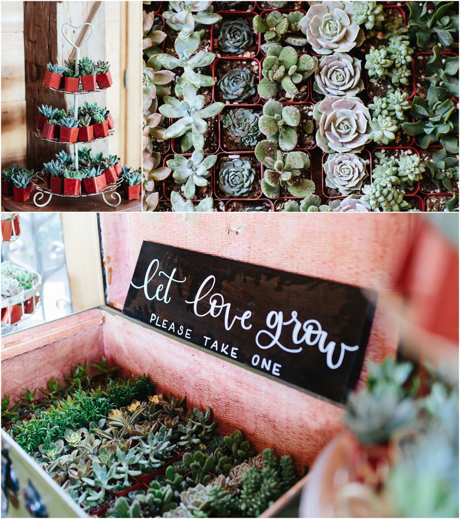 "Let love grow" photo of plant wedding  gifts grown for the guests