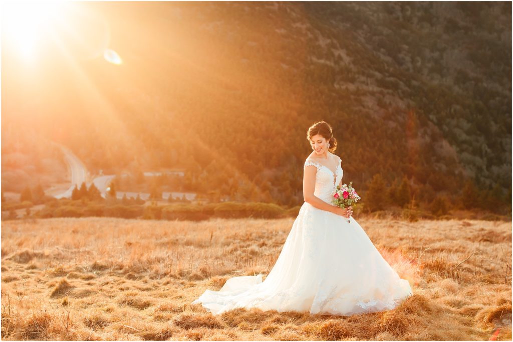 Carvers Gap Roan Mountain State Park Bridal Portraits -Bristol Virginia wedding photographer
