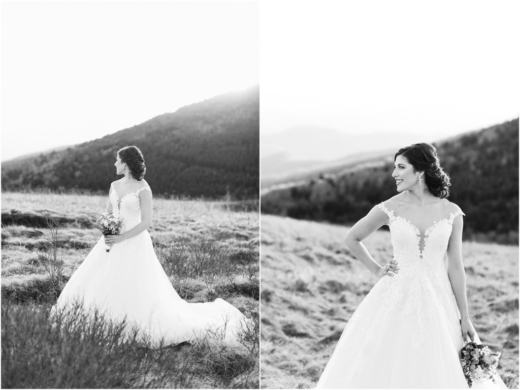Roan Mountain State Park Carvers Gap wedding bridal portraits with Bristol VA wedding photograpehr