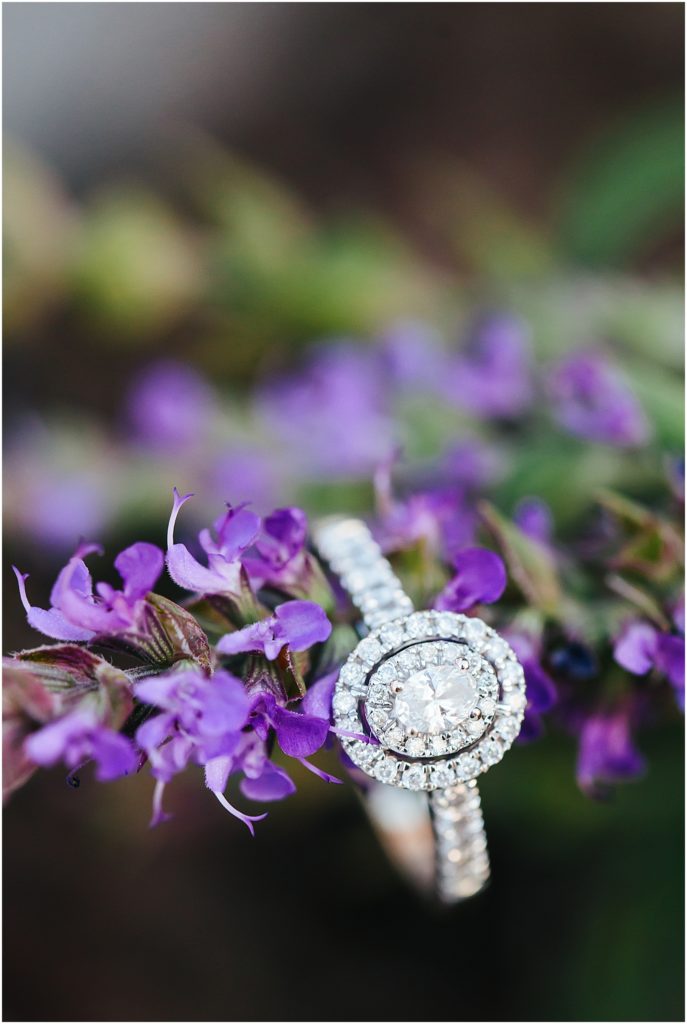 double halo engagement ring on lavender in downtown bristol