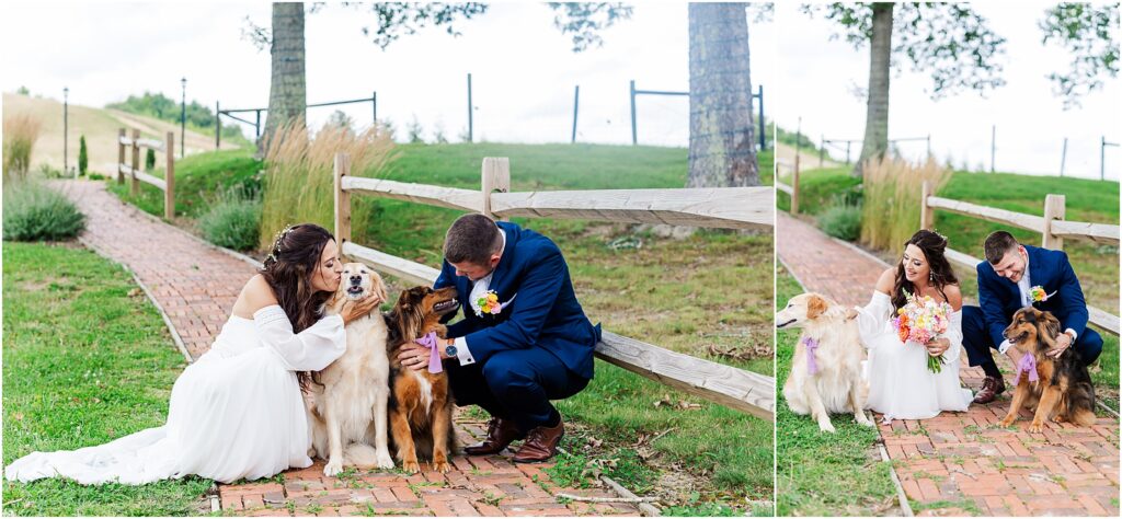 Newlyweds and dogs share kisses on brick path cool ridge west virginia wedding venue
