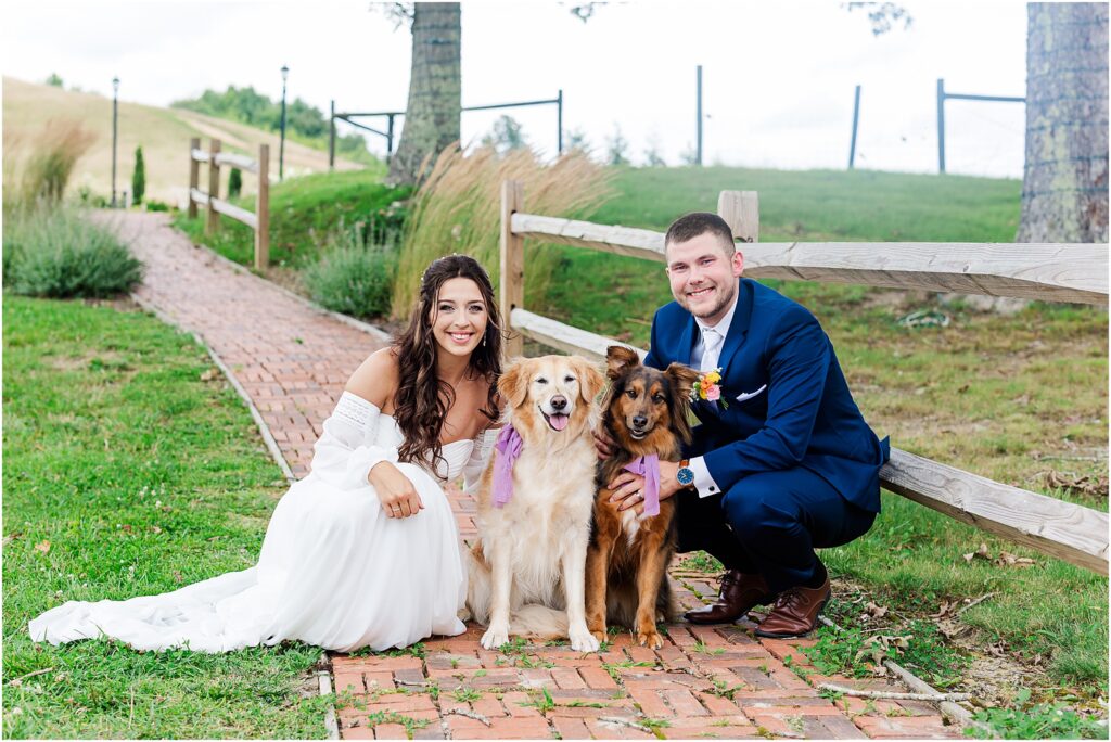 Dogs pose with newlyweds near glade creek wedding venue